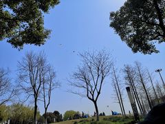 -太湖湖滨国家湿地公园-停车场
