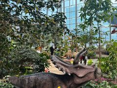 -沈阳植物园