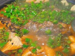 -探鱼·鲜青椒爽麻烤鱼(苏宁广场店)