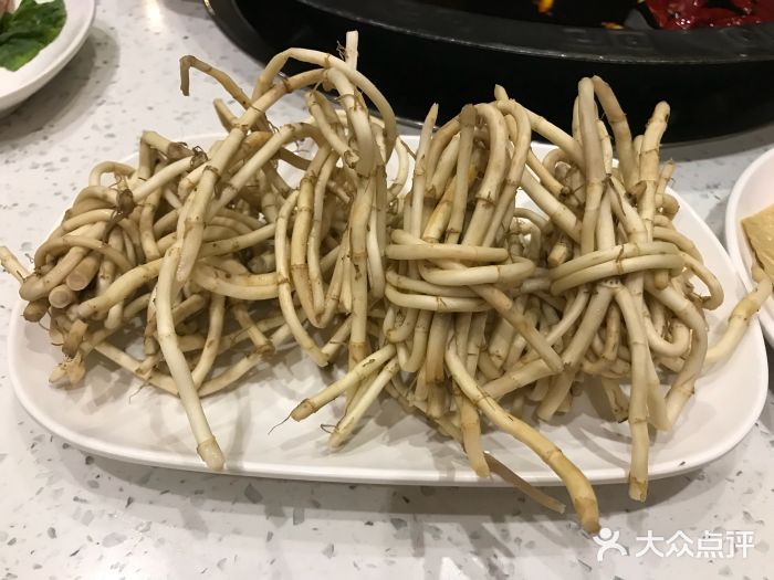 醉资格老火锅(银泰城店)折耳根图片