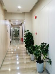 -上海时光整形外科医院
