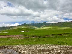 -祁连山草原