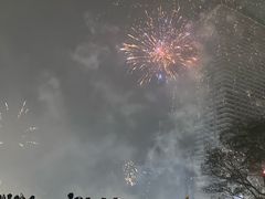 -中澳友谊花园