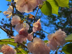 -长白岛森林公园