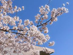 -龙美术馆(西岸馆)
