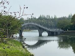 -上海海湾国家森林公园