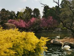 -昆明动物园