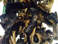 -爱膳菌锅锅(阳南店)