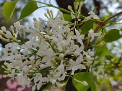 -长辛店二七公园