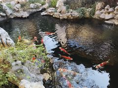 -鲤院·新中式美学·庭院餐厅(夫子庙店)