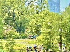-云溪植物园