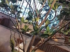 -香香春饼·非遗技艺(万达店)