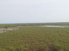 -北海金海湾红树林生态旅游区