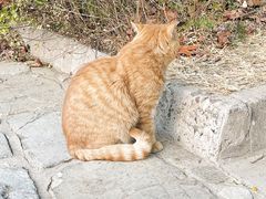 -香山公园