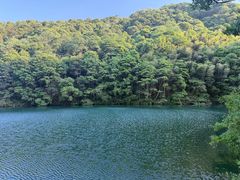 -午潮山国家森林公园