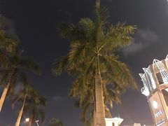 -三亚中亚国际大酒店