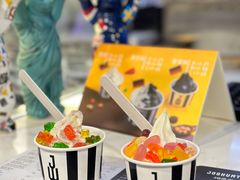 -JW德国冻酸奶Frozen Yogurt(龙湖成都滨江天街店)