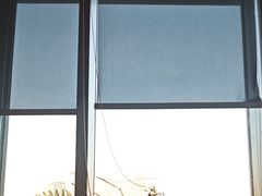 -天辣(金桥啦啦宝都店)