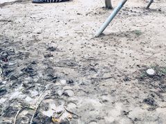 -迪茵湖田家舍生态农场