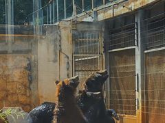 -昆明动物园