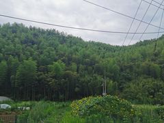 -山沟沟景区