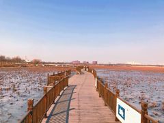 -天津东丽湖风景区