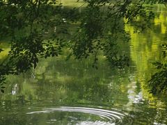 -人民公园(罗湖区)