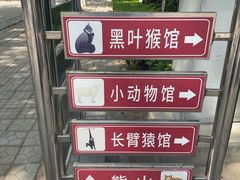 -保定市动物园