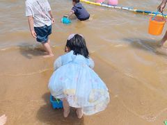 -碧海金沙