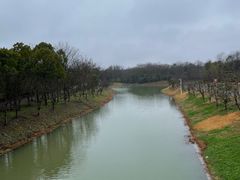 -上海海湾国家森林公园