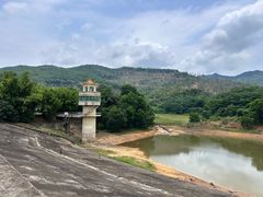 -东莞市大岭山森林公园