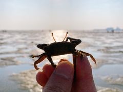 -北海金海湾红树林生态旅游区