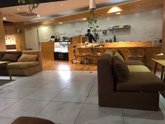 -柴务处·柴犬主题狗咖