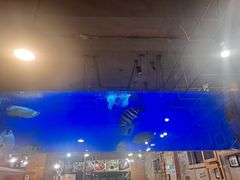 -韩礼年糕(飞虹路店)