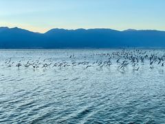 -丽江泸沽湖景区