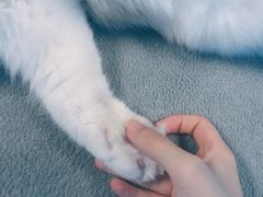 -零纪元VR体验馆·桌游(黄浦店)