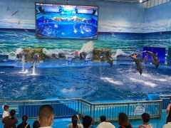 -多彩贵州城极地海洋世界