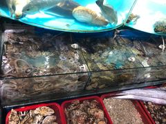 -望海潮海鲜店 特色家常菜(在海一方店)
