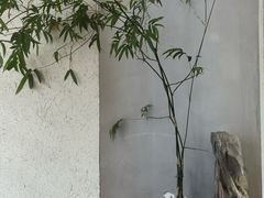 -本处·素食·融合料理(南油店)