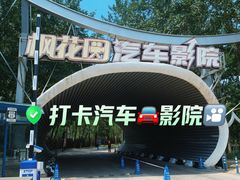 -枫花园汽车电影院(朝阳公园店)