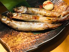 -九州酒场ひこぞう(1号店)