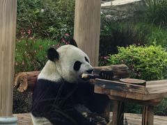 -无锡动物园·太湖欢乐园