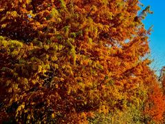 -南京市江宁方山