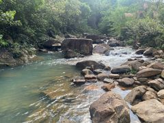 -广州白江湖森林公园