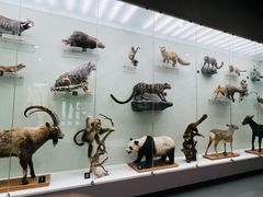 -国家自然博物馆