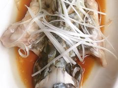 -胖大姐黄辣丁鱼庄(新津店)