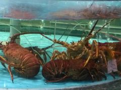 -西贝海鲜汇(槐安路店)