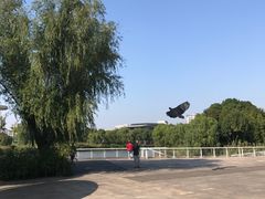 -新江湾城公园