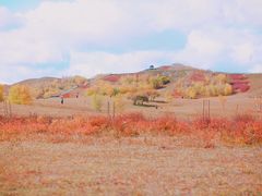 -乌兰布统草原