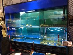 水产区-浙C老邻舍(西城海错店)